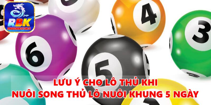 Nuôi Lô Song Thủ Lô Khung 5 Ngày Miễn Phí Bất Bại