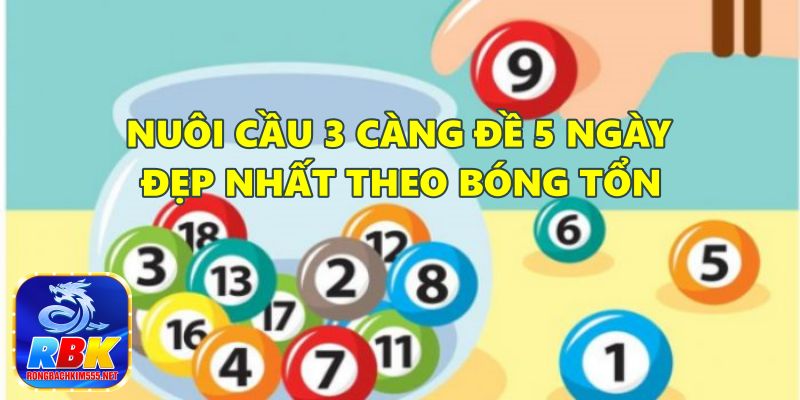 Hướng Dẫn Những Cách Nuôi Cầu 3 Càng Đề 5 Ngày Đẹp Nhất