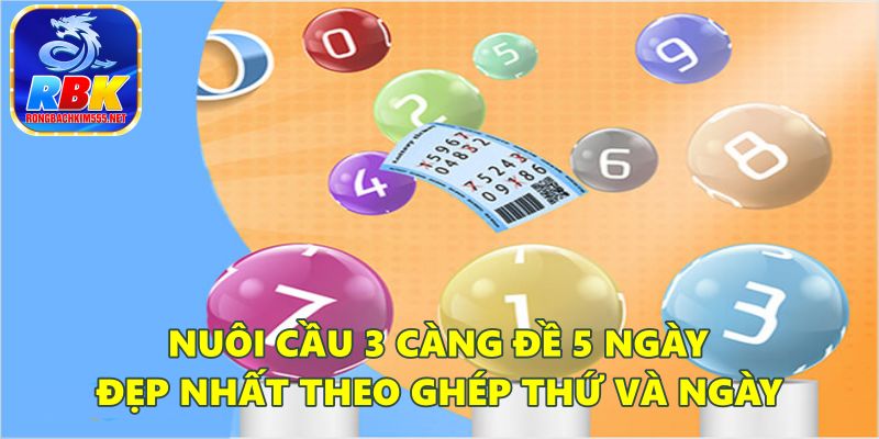 Hướng Dẫn Những Cách Nuôi Cầu 3 Càng Đề 5 Ngày Đẹp Nhất