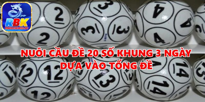 Nuôi Cầu Đề 20 Số Khung 3 Ngày Hiệu Quả Từ Các Cao Thủ