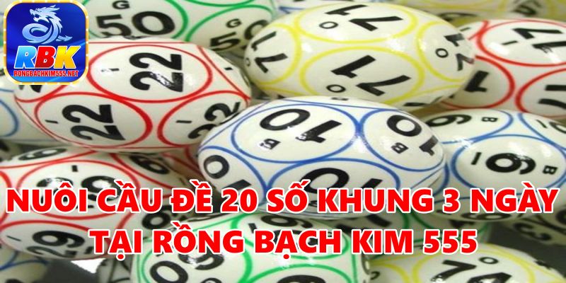 Nuôi Cầu Đề 20 Số Khung 3 Ngày Hiệu Quả Từ Các Cao Thủ