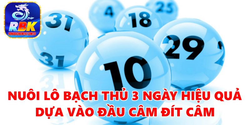 Hướng Dẫn Nuôi Bạch Thủ Lô Khung 3 Ngày Bất Bại