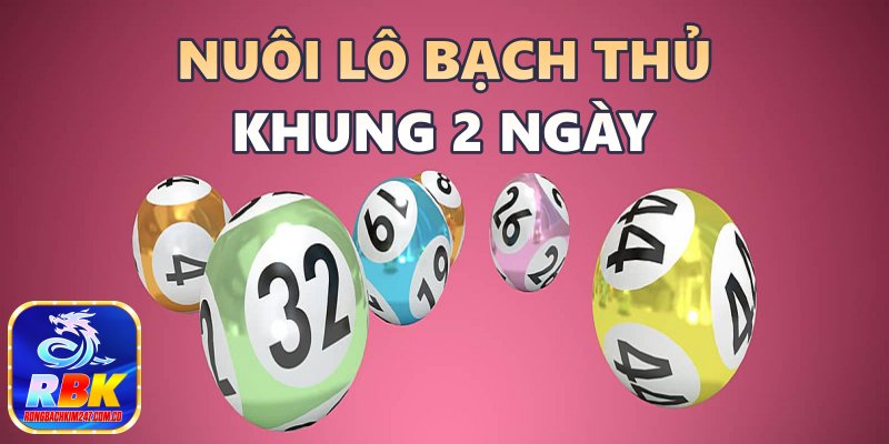 Nuôi Lô Bạch Thủ Khung 2 Ngày Chính Xác Cao