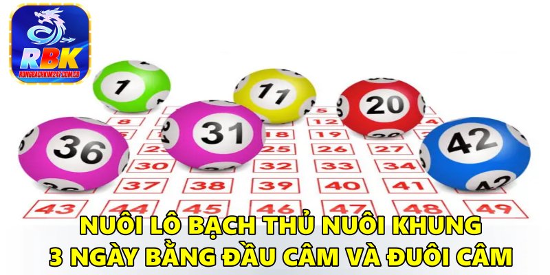 Nuôi Lô Bạch Thủ Nuôi Khung 3 Ngày VIP Chính Xác Nhất