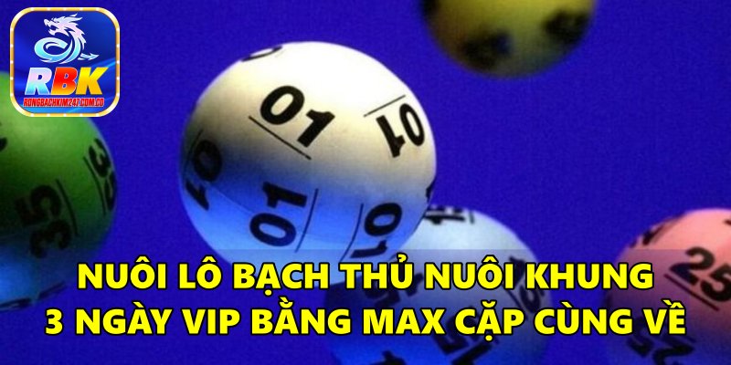 Nuôi Lô Bạch Thủ Nuôi Khung 3 Ngày VIP Chính Xác Nhất