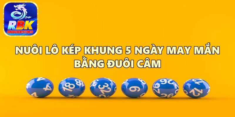 Hướng Dẫn Nuôi Lô Kép Khung 5 Ngày May Mắn Hiệu Quả Cao