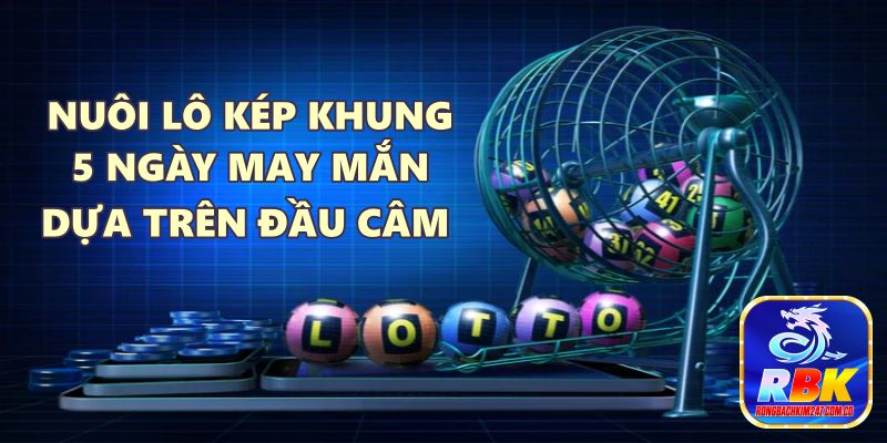 Hướng Dẫn Nuôi Lô Kép Khung 5 Ngày May Mắn Hiệu Quả Cao