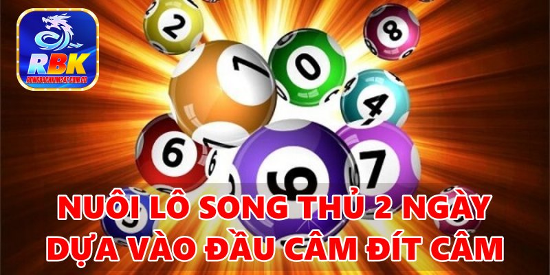 Song Thủ Lô Khung 2 Ngày: Hướng Dẫn Cách Nuôi Ăn Quanh Năm