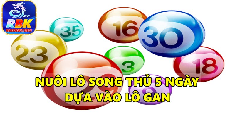 Hướng Dẫn Nuôi Song Thủ Lô Khung 5 Ngày Siêu Chuẩn Miễn Phí