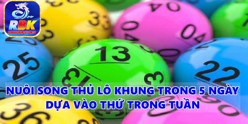 Hướng Dẫn Nuôi Song Thủ Lô Khung 5 Ngày Siêu Chuẩn Miễn Phí