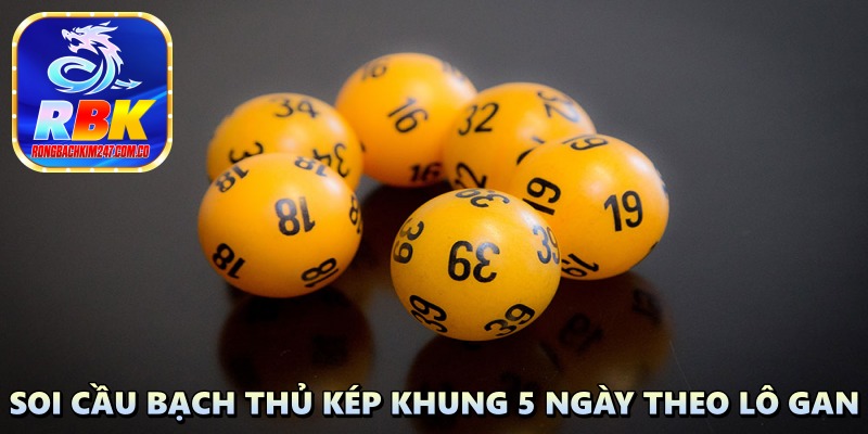 Bạch Thủ Kép Khung 5 Ngày: Cách Nuôi Được Nhiều Lô Thủ Lựa Chọn