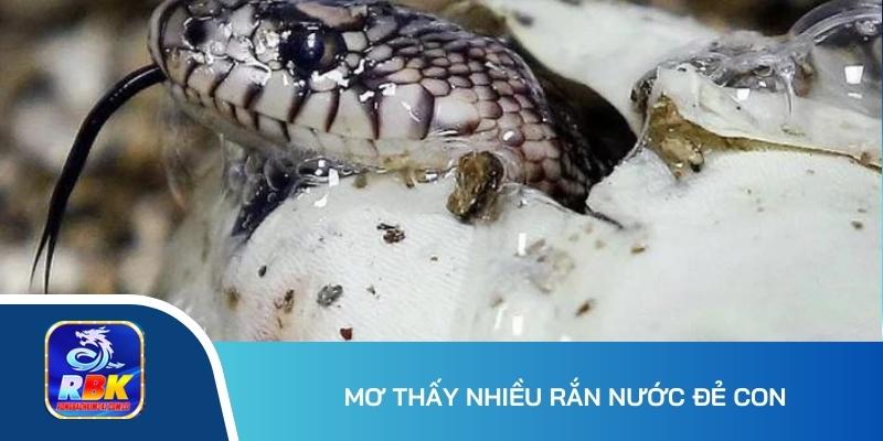 Mơ Thấy Nhiều Rắn Đánh Con Gì Để Rinh Về Phần Thưởng Khủng