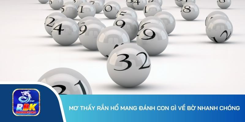 Mơ Thấy Rắn Hổ Mang Đánh Gì? Điềm Báo May Mắn Hay Xui Xẻo?