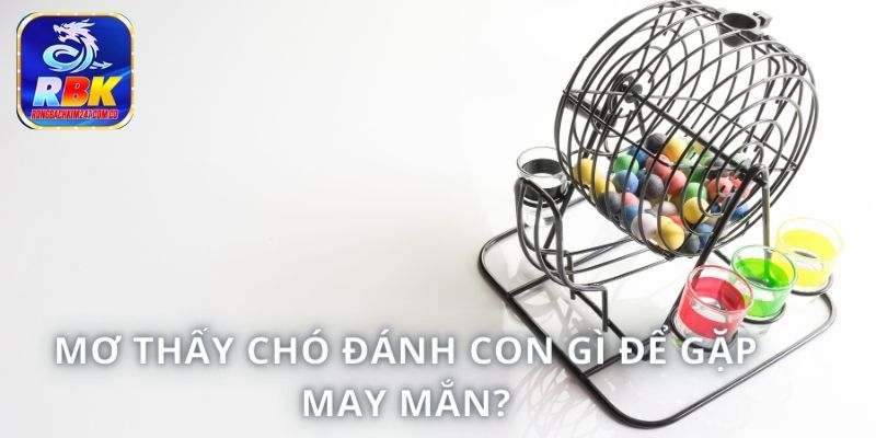 Mơ Thấy Chó Báo Hiệu Điều Gì? Nên Đánh Con Gì Để Gặp May