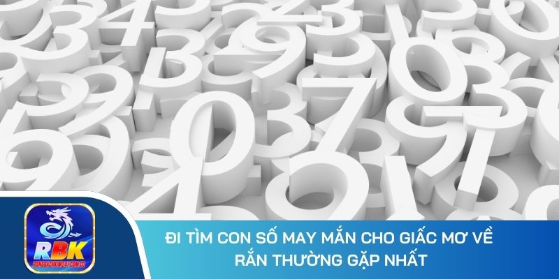 Giải Mã 10+ Giấc Mơ Thấy Rắn Và Con Số May Mắn Dễ Phát Tài