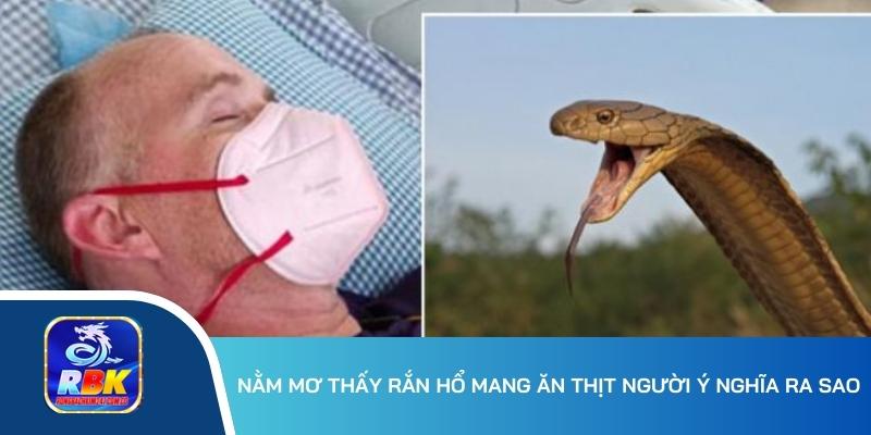 Mơ Thấy Rắn Hổ Mang Đánh Gì? Điềm Báo May Mắn Hay Xui Xẻo?