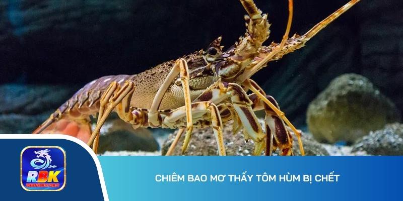 Mơ Thấy Tôm Mang Đến Điềm Báo Gì Và Đánh Số Gì Dễ Trúng?