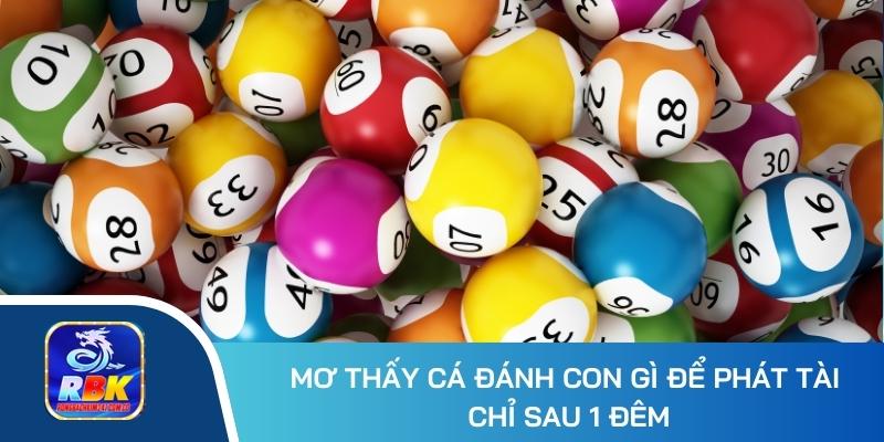 Mơ Thấy Cá Đánh Con Gì? Hé Lộ 20+ Số Đẹp Mang Lại Tài Lộc