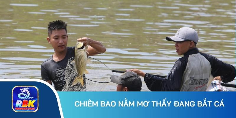 Mơ Thấy Cá Đánh Con Gì? Hé Lộ 20+ Số Đẹp Mang Lại Tài Lộc