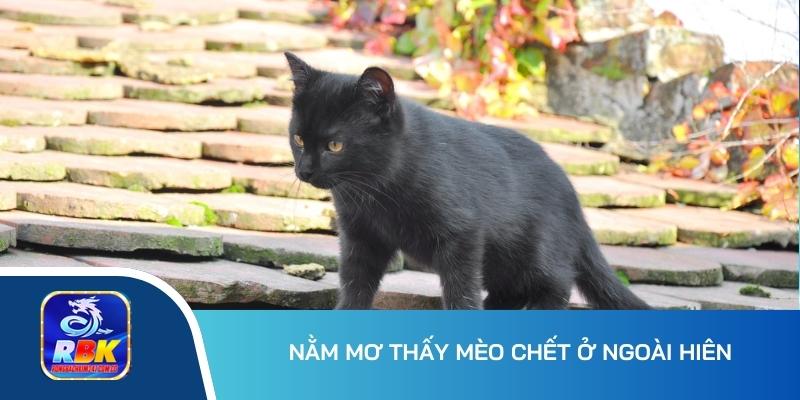 Mơ Thấy Mèo - Nên Đánh Con Lô Số Mấy Để Thần Tài Gõ Cửa?