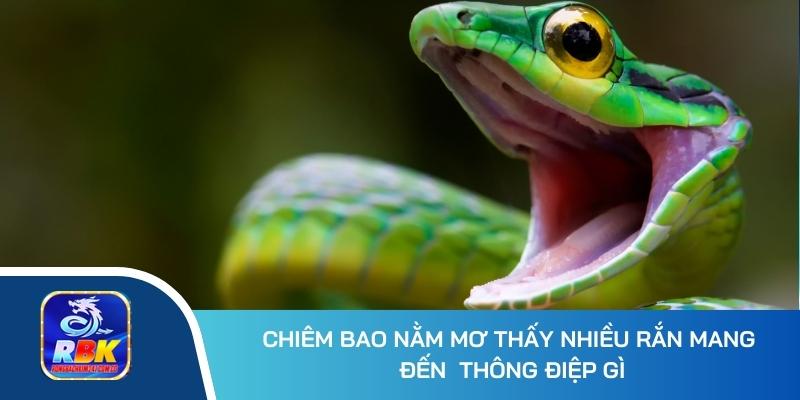 Mơ Thấy Nhiều Rắn Đánh Con Gì Để Rinh Về Phần Thưởng Khủng