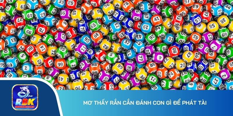 Mơ Thấy Rắn Cắn Hên Hay Xui? Hé Lộ 15+ Bộ Số Thắng Lớn