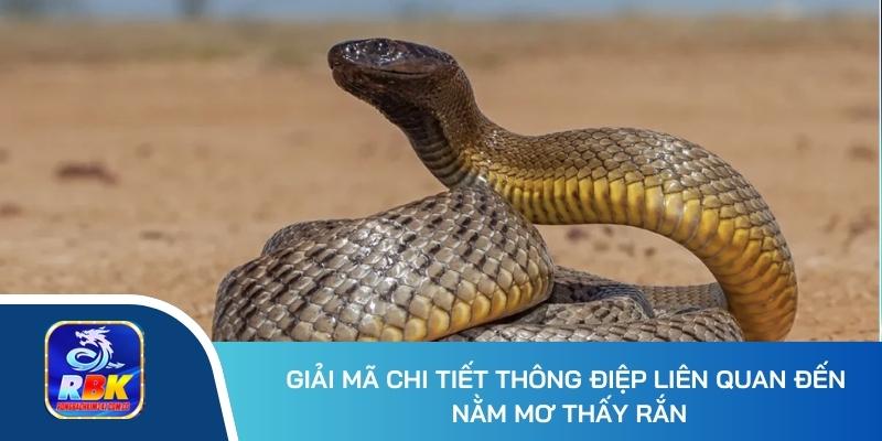 Nằm Mơ Thấy Rắn Đánh Số Gì? Điềm Báo May Mắn Hay Xui Xẻo?