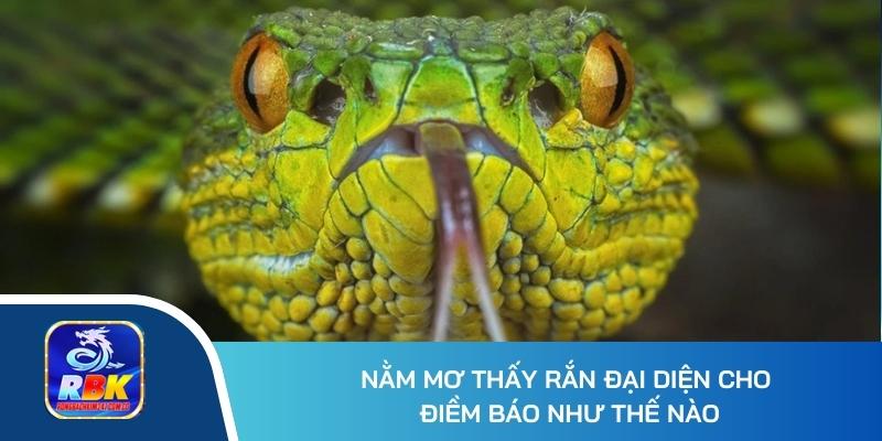 Nằm Mơ Thấy Rắn Đánh Số Gì? Điềm Báo May Mắn Hay Xui Xẻo?