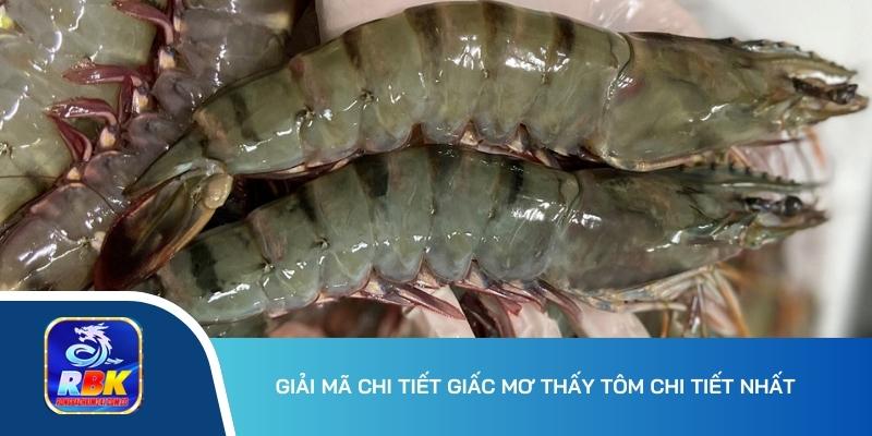 Mơ Thấy Tôm Mang Đến Điềm Báo Gì Và Đánh Số Gì Dễ Trúng?