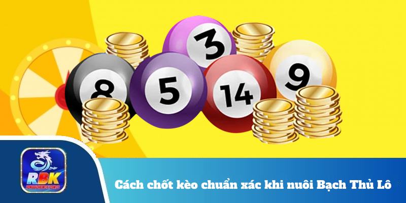 Nuôi Bạch Thủ Lô Khung 3 Ngày – Lọc Số Và Chốt Kèo Chuẩn Xác