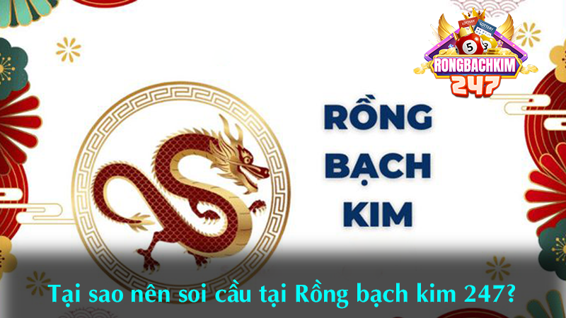 Soi cầu dàn lô 10 số miền Bắc chuẩn xác Rồng Bạch Kim 247